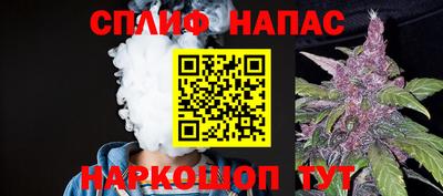 стаф Дмитров