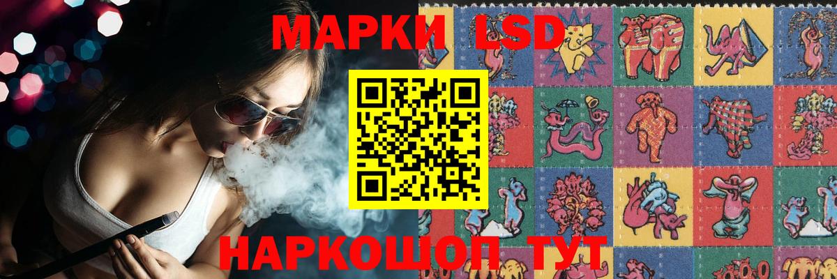 mega зеркало  LSD-25 экстази кислота  ЛСД экстази кислота  Вход с VPN  Вязники  Лсд 25 экстази 