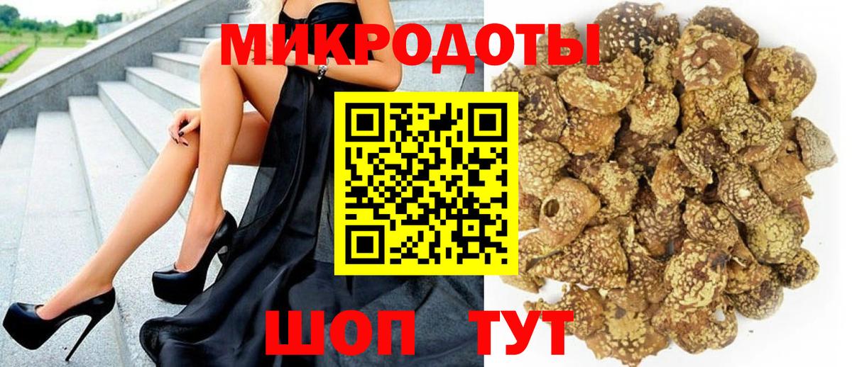 Псилоцибиновые грибы мицелий Вязники